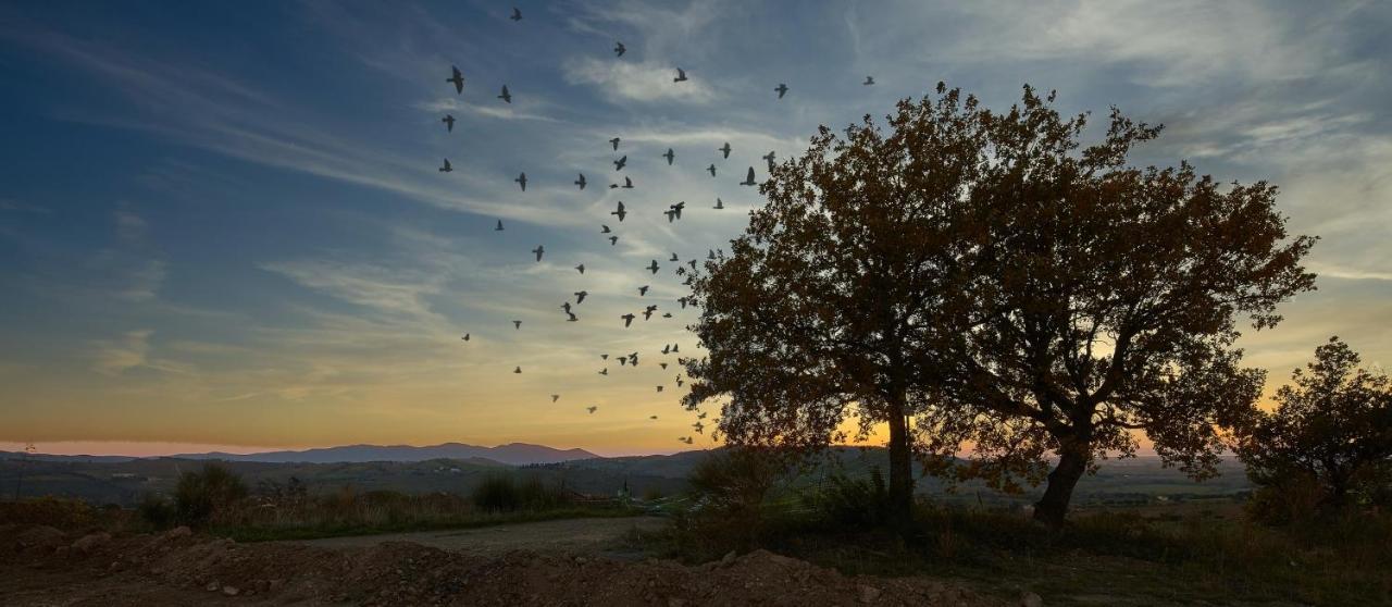 Poggio Tamantino, Villa Con Piscina In Maremma Poggio Cavallo المظهر الخارجي الصورة